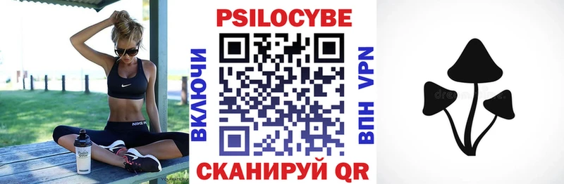 Псилоцибиновые грибы Psilocybine cubensis  Сургут 